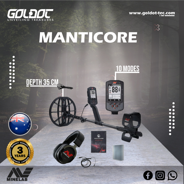 Professional Metal Detectors for Sale