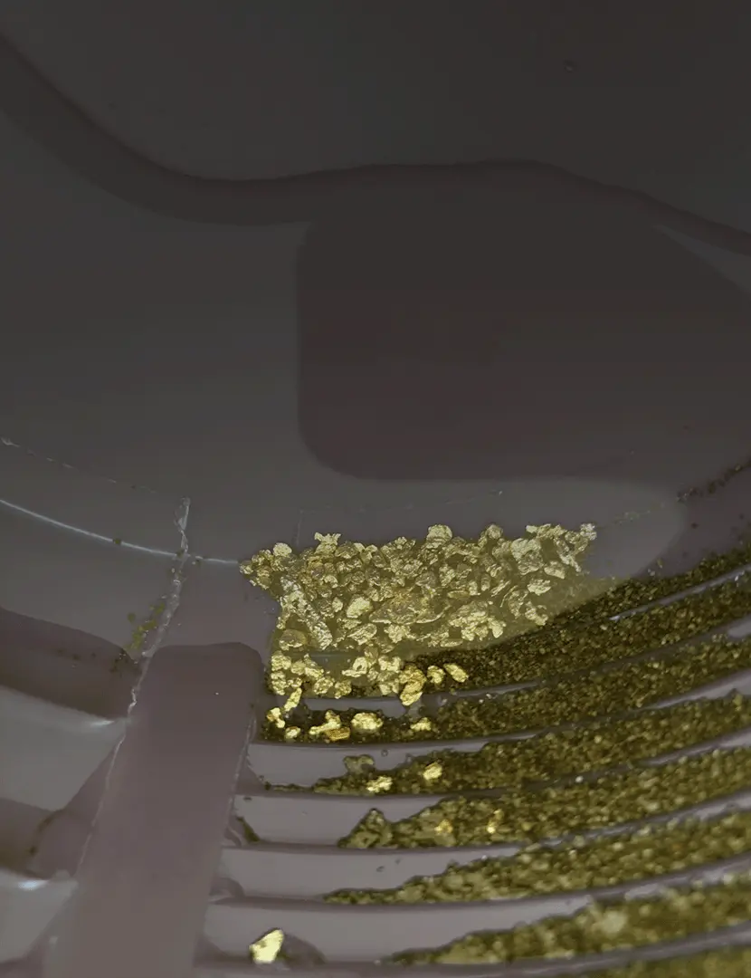 Gold Exploring Devices