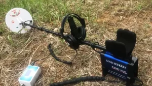 minelab gpz 8000 price