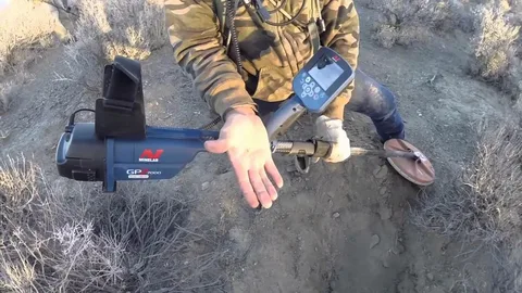 GPZ 8000 vs GPZ 7000 – Which Minelab Detector Wins in 2026?