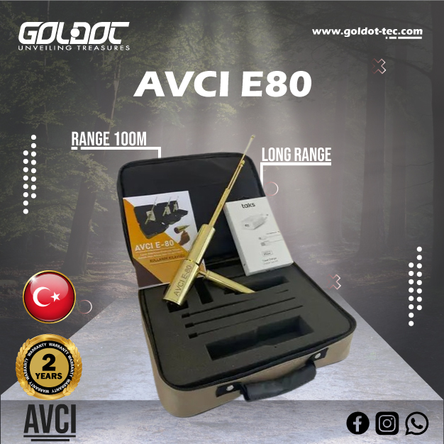 AVCI E80 Professional Gold Scanner Review: Features, Setup and Buying Guide