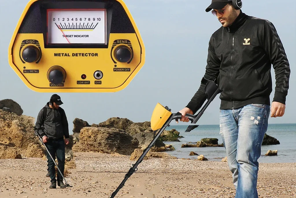Beelines Metal Detector: Complete 2026 Buying Guide